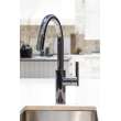 Newport Brass East Linear(R): Pull-Down Kitchen Faucet
