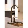Newport Brass East Linear(R): Pull-Down Kitchen Faucet