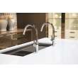 Newport Brass East Linear(R): Pull-Down Kitchen Faucet