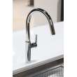 Newport Brass East Linear(R): Pull-Down Kitchen Faucet