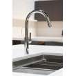 Newport Brass East Linear(R): Pull-Down Kitchen Faucet