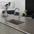 Newport Brass East Linear(R): Pull-Down Kitchen Faucet - Trigger Spray