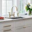 Newport Brass East Linear(R): Kitchen Bridge Faucet with Side Spray