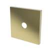 Newport Brass Other: Diverter Plate