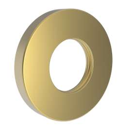 Newport Brass Other: Shower Arm Flange