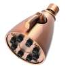 Newport Brass Other: Single Function Shower Head
