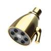 Newport Brass Other: Single Function Shower Head