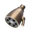 Newport Brass Other: Single Function Shower Head