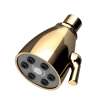 Newport Brass Other: Single Function Shower Head
