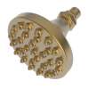 Newport Brass Other: Single Function Shower Head