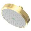 Newport Brass Other: Single Function Shower Head