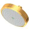 Newport Brass Other: Single Function Shower Head