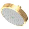 Newport Brass Other: Single Function Shower Head