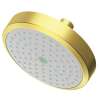 Newport Brass Other: Single Function Shower Head