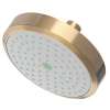 Newport Brass Other: Single Function Shower Head
