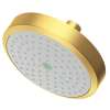 Newport Brass Other: Single Function Shower Head