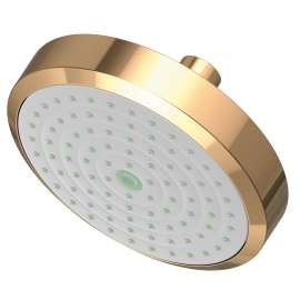Newport Brass Other: Single Function Shower Head