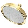 Newport Brass Other: Single Function Shower Head