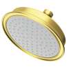 Newport Brass Other: Single Function Shower Head