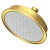 Newport Brass Other: Single Function Shower Head