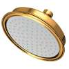 Newport Brass Other: Single Function Shower Head