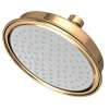 Newport Brass Other: Single Function Shower Head