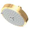 Newport Brass Other: Multifunction Showerhead