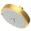 Newport Brass Other: Multifunction Showerhead