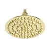 Newport Brass Other: Single Function Shower Head