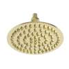 Newport Brass Other: Single Function Shower Head