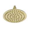 Newport Brass Other: Single Function Shower Head