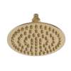 Newport Brass Other: Single Function Shower Head