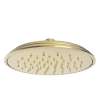 Newport Brass Other: Rainfall Shower Head