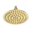 Newport Brass Other: Single Function Shower Head