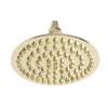 Newport Brass Other: Single Function Shower Head