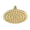 Newport Brass Other: Single Function Shower Head