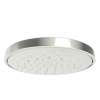 Newport Brass Other: Rainfall Shower Head
