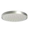 Newport Brass Other: Rainfall Shower Head