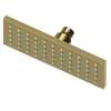 Newport Brass Other: Single Function Shower Head
