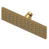 Newport Brass Other: Single Function Shower Head