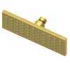 Newport Brass Other: Single Function Shower Head