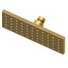 Newport Brass Other: Single Function Shower Head
