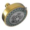 Newport Brass Other: Multifunction Showerhead