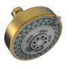 Newport Brass Other: Multifunction Showerhead