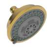 Newport Brass Other: Multifunction Showerhead