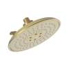 Newport Brass Luxnetic: Luxnetic Multifunction Showerhead