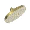 Newport Brass Luxnetic: Luxnetic Multifunction Showerhead
