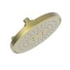 Newport Brass Luxnetic: Luxnetic Multifunction Showerhead