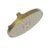 Newport Brass Luxnetic: Luxnetic Multifunction Showerhead