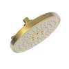 Newport Brass Luxnetic: Luxnetic Multifunction Showerhead